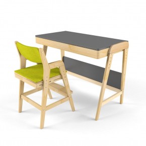 Комплект растущий стол и стул с чехлом 38 попугаев «Вуди» (Серый, Без покрытия, Грин) в Приобье - priobe.mebel-74.com | фото