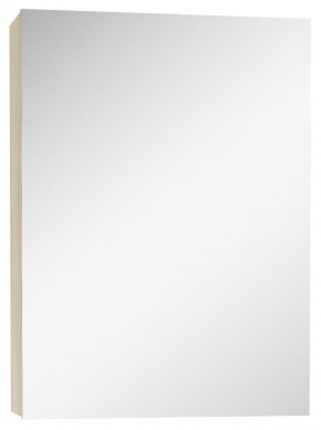 Шкаф-зеркало Мечта 40 Дуб сонома АЙСБЕРГ (DM2317HZ) в Приобье - priobe.mebel-74.com | фото