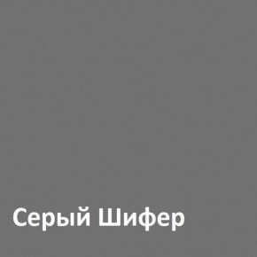 Юнона Шкаф торцевой 13.221 в Приобье - priobe.mebel-74.com | фото