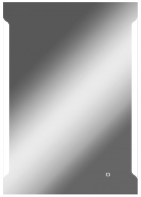 Зеркало Оттава 1000х700 с подсветкой Домино (GL7028Z) в Приобье - priobe.mebel-74.com | фото